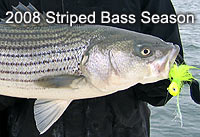 Striped Bass Season Fishing Reports