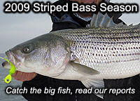 Chesapeake Bay Fishing Reports, Maryland Fishing Reports, Virginia Fishing Reports, Striped Bass Fishing Reports, Mid Atlantic Fishing Reports, Saltwater Fly Fishing Fishing Reports