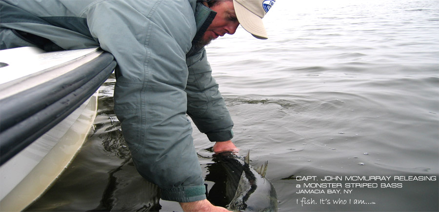 Captain John McMurray with a nice striped bass caught in Jamaica Bay New York - New York Fly Fishing and Light Tackle Guide