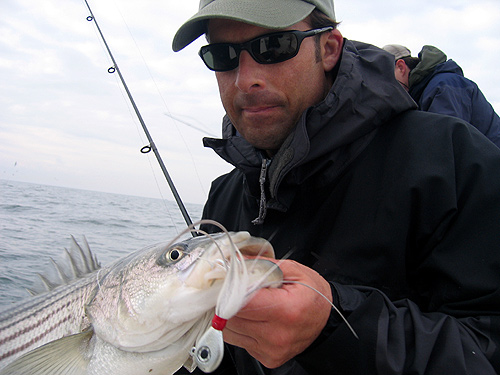 Striped Bass Fishing, Striped Bass Jig, Light Tackle Jigging, LTJ