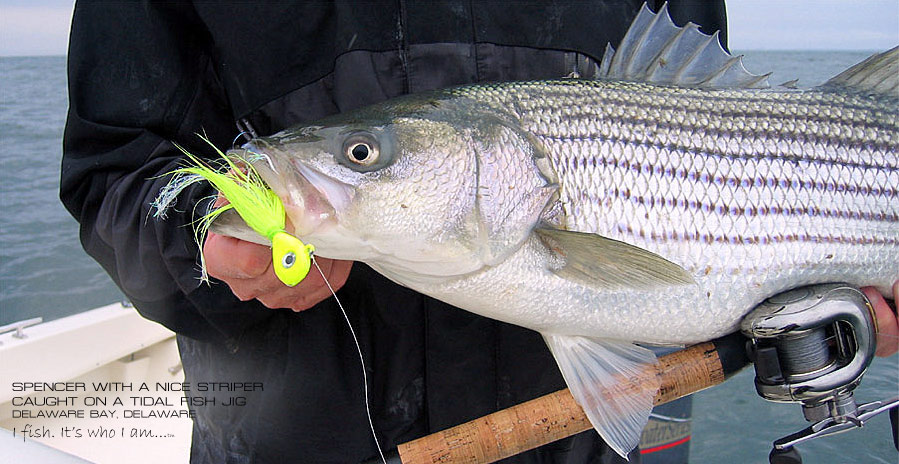 https://www.laterallineco.com/fishing_images/headers/spencer_jigging_stripedbass.jpg