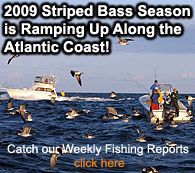 Fly Fishing Saltwater Fishing Reports,Chesapeake Bay Fishing Reports, Striped Bass Fishing Reports, Fishing Journal
